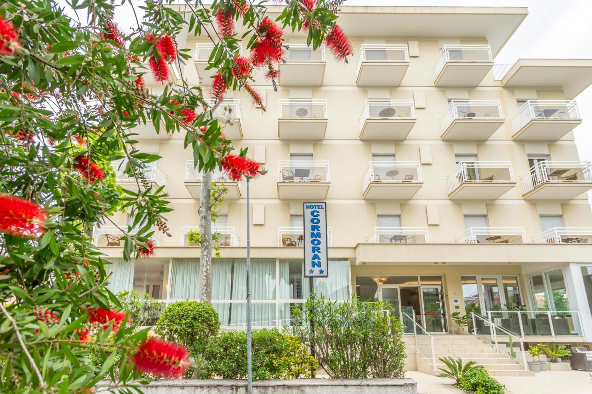Hotel Cormoran 里乔内 外观 照片
