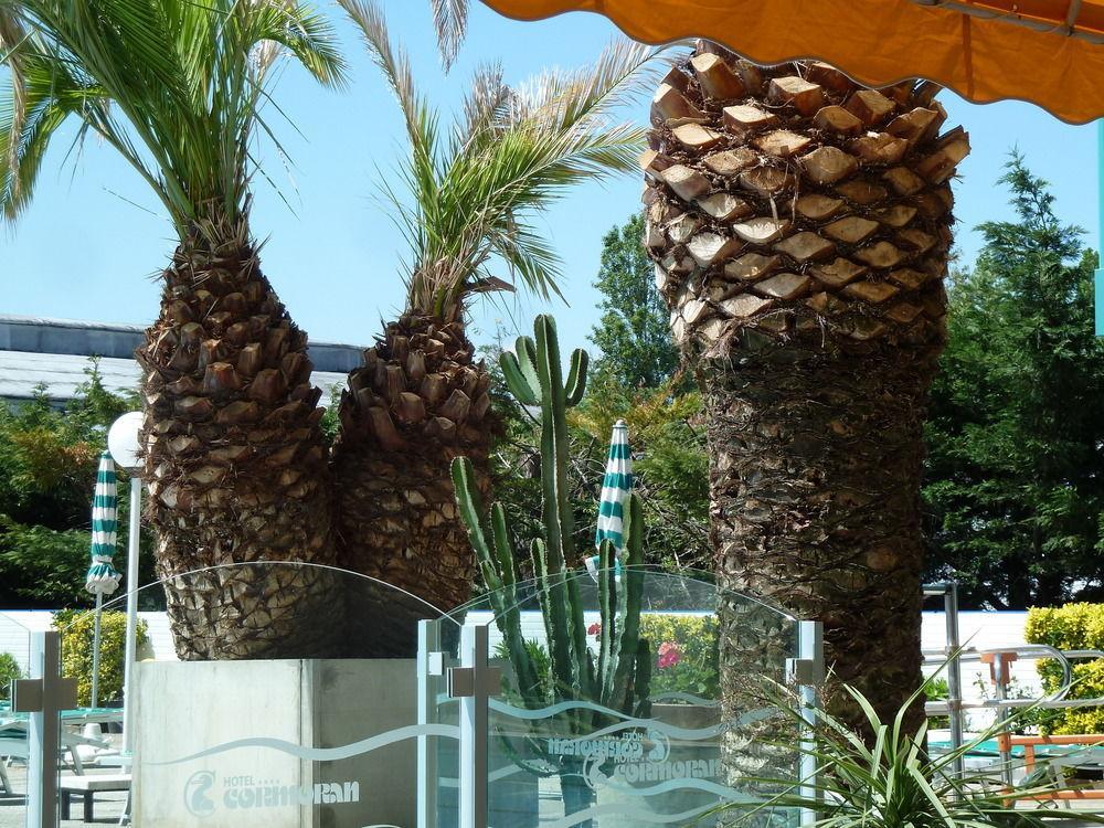 Hotel Cormoran 里乔内 外观 照片